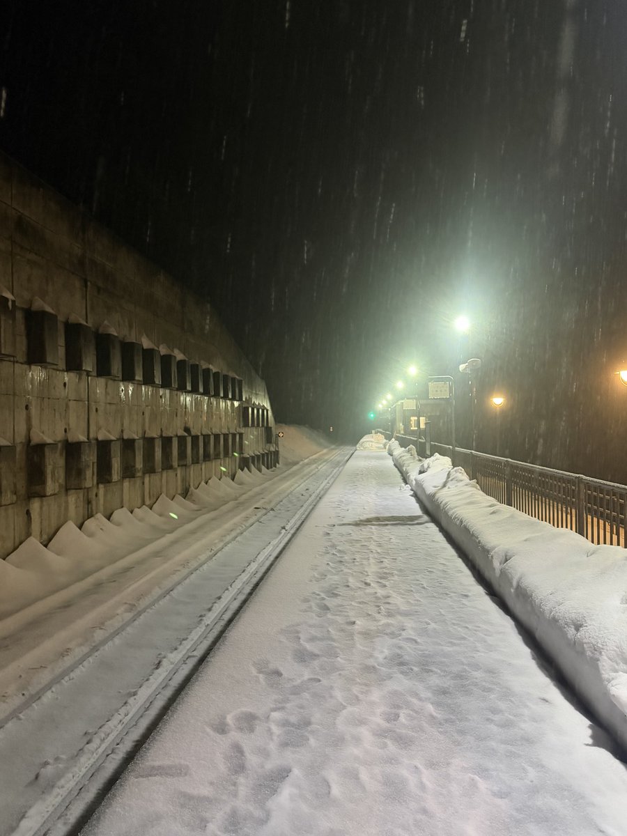 かみこわ tweet media