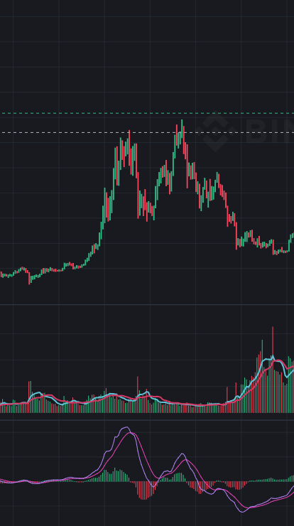 🎋八寶 tweet media