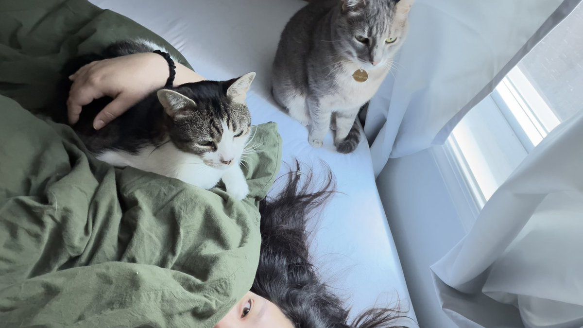 예자 🇵🇸 tweet media