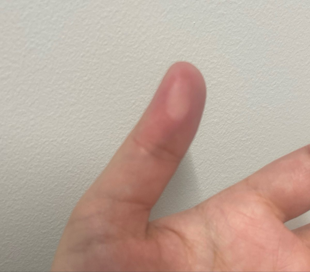 はれる☀️🐥🌻 tweet media