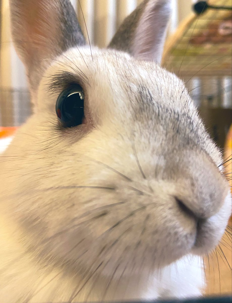 さき@strtnr tweet media