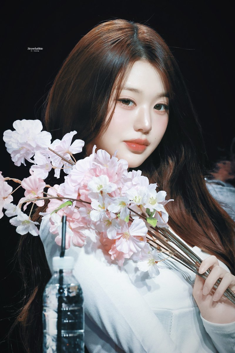 Strawbabbie_wy's tweet photo. 260315

올 해 봄에 제일 예쁜 벛꽃 여기 있다🌸🤍✨

#아이브 #IVE #장원영 #JANGWONYOUNG #원영 #WONYOUNG #ウォニョン @IVE_twt https://t.co/5OsO6JzaI3