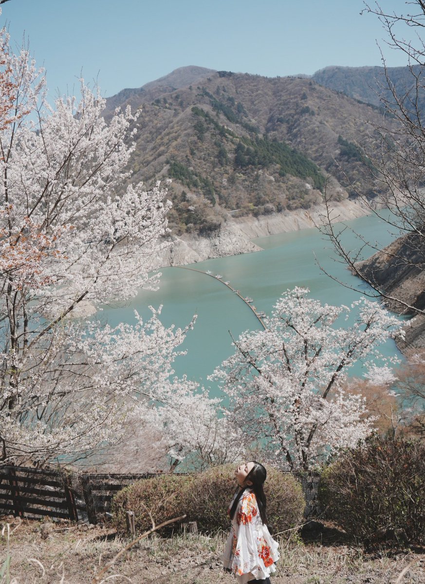 坂井里会 riesakai tweet media