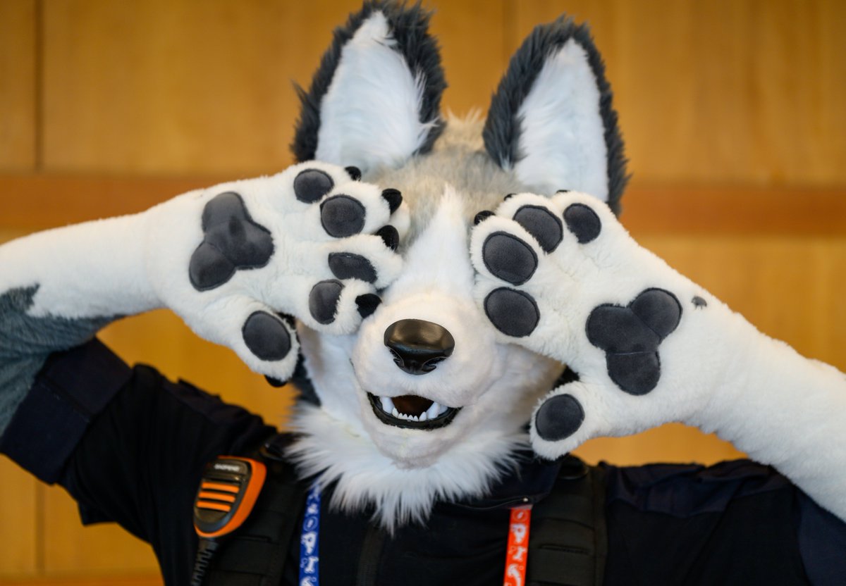 그레이엄 현 tweet media