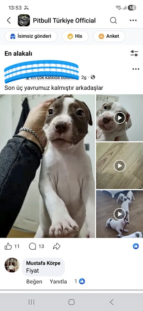 Gaza #TiktokKapatılsın tweet media