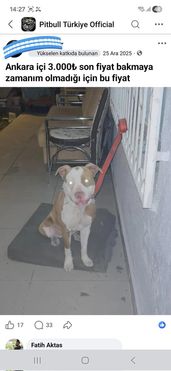 Gaza #TiktokKapatılsın tweet media