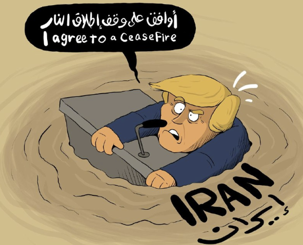 adam owsi tweet media