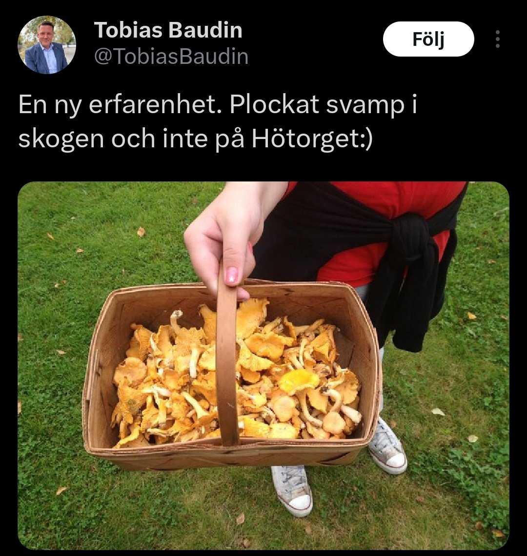 Plainview tweet media