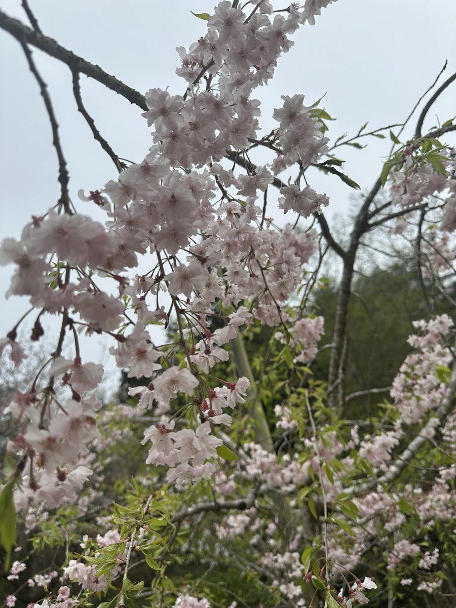 うちは永遠@321所属 tweet media