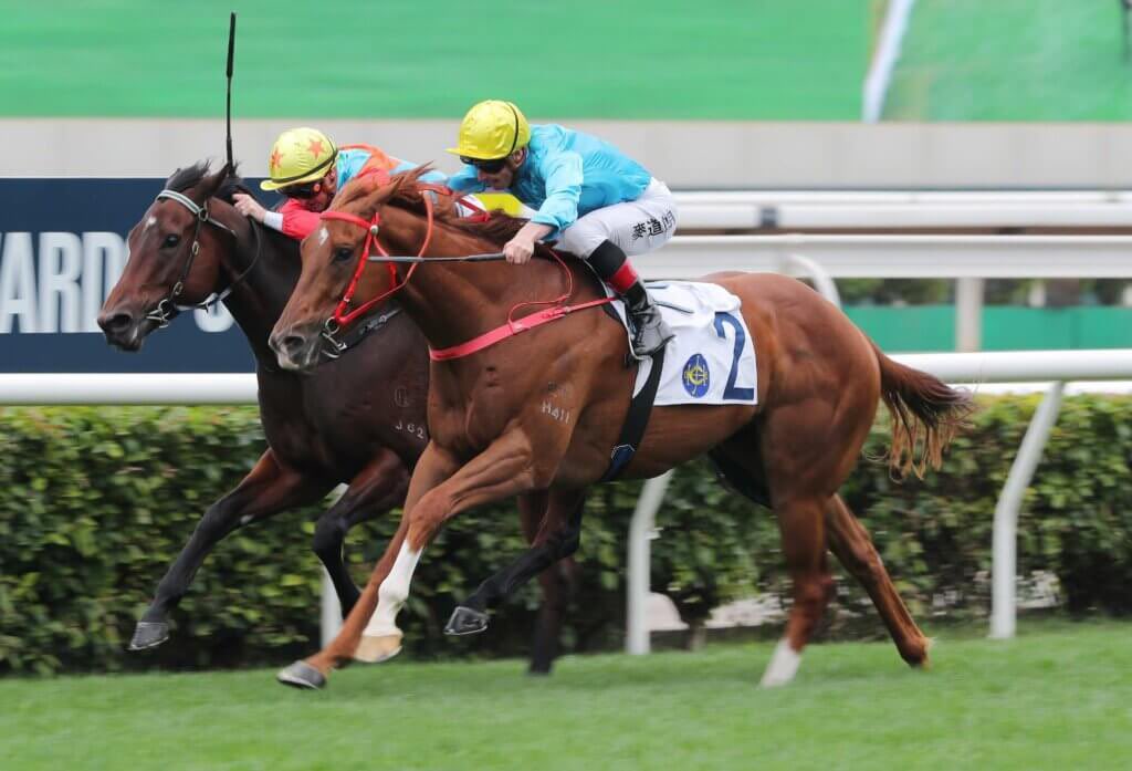 WUNDERBAR, the only horse to have beaten KA YING RISING (twice, for ...