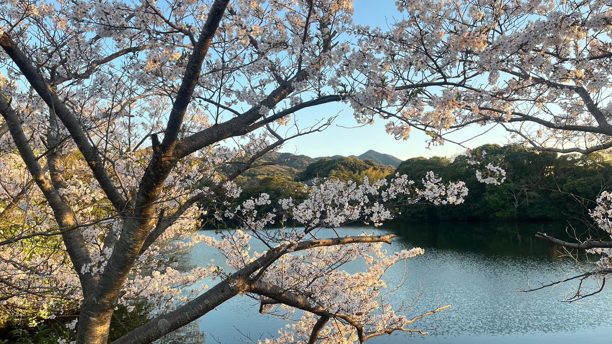 poettoearth's tweet image. 