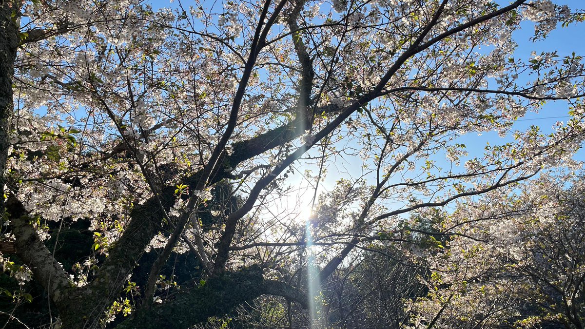 poettoearth's tweet image. 