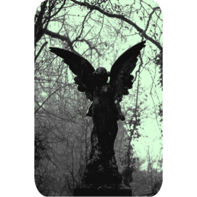 ┈ 𝓥𝑎𝑙𝑒𝑎 𝕹𝑜𝑐𝑡𝑟𝑎 ७ tweet media