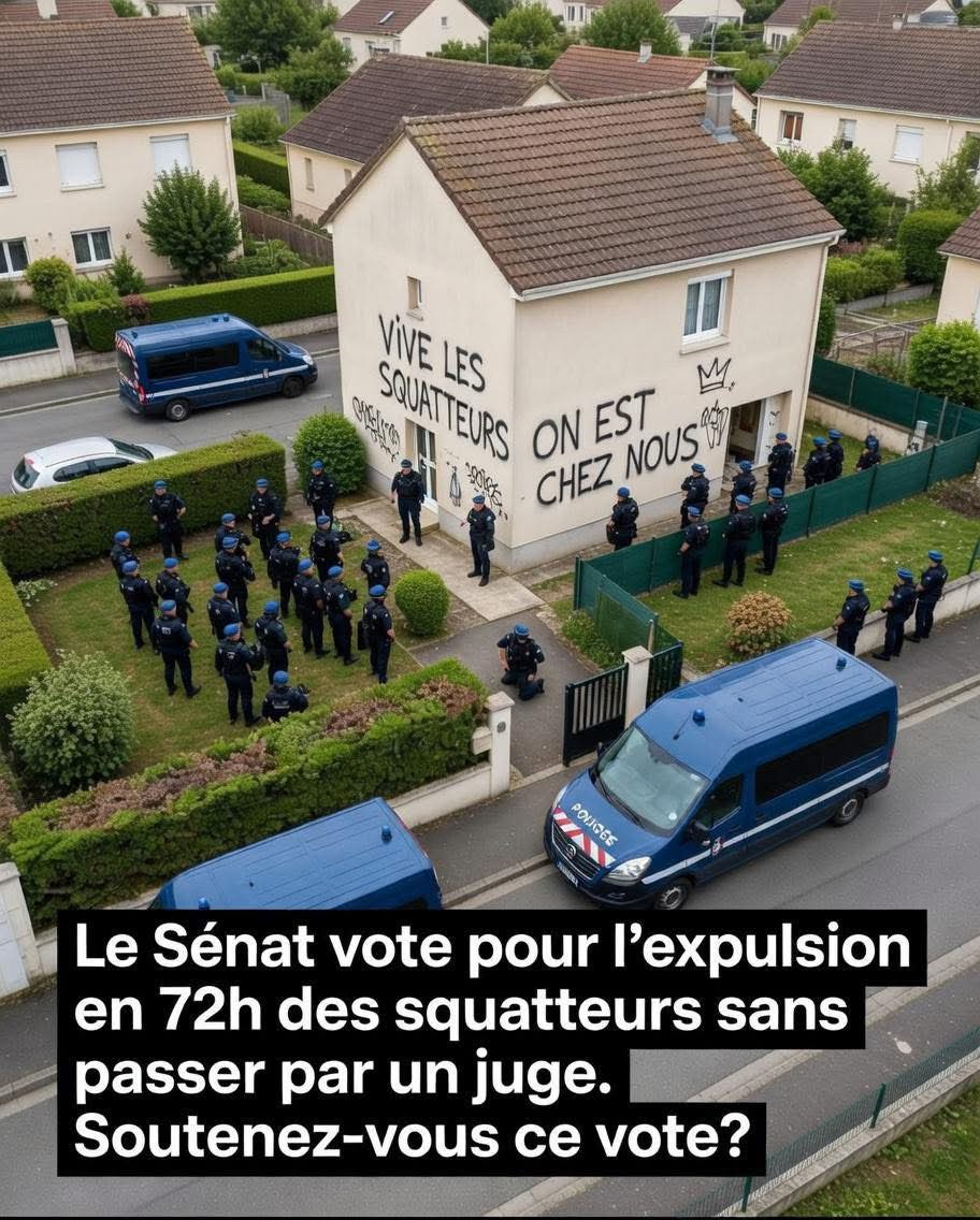 🇫🇷 MissPeel 🇫🇷 tweet media