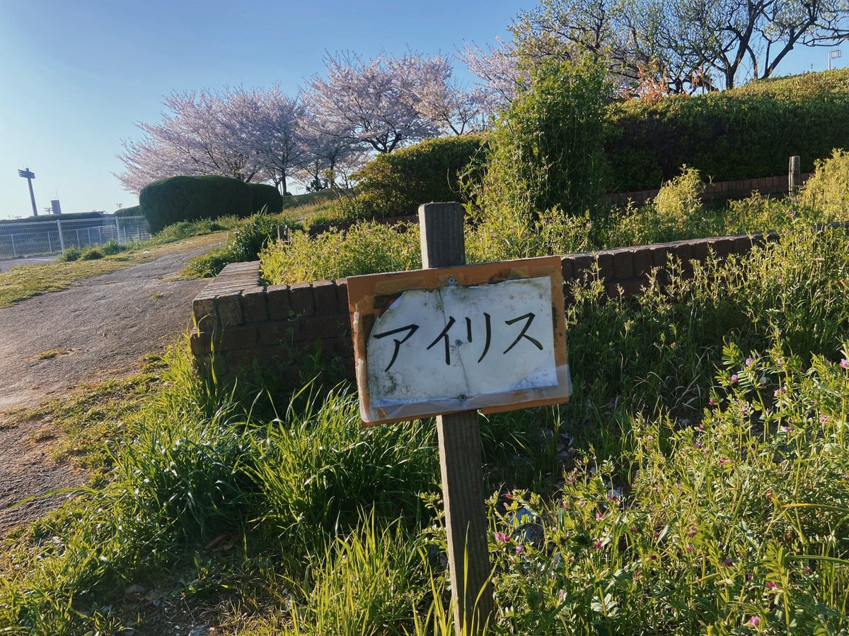 𝑹𝒊𝒐✴︎ tweet media