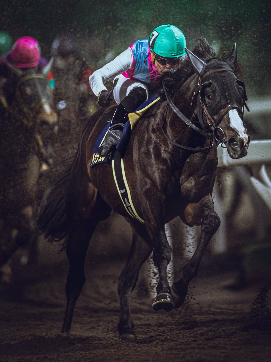 はまやん tweet media