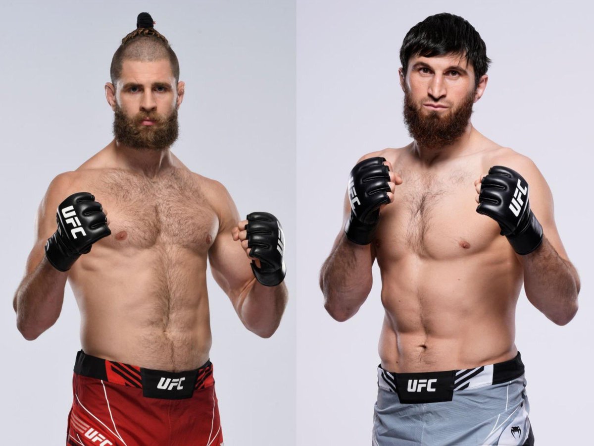 José Louis tweet media