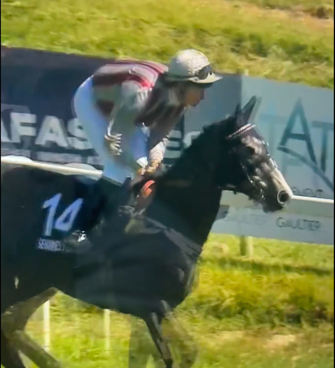 Armand LEFEUVRE tweet media