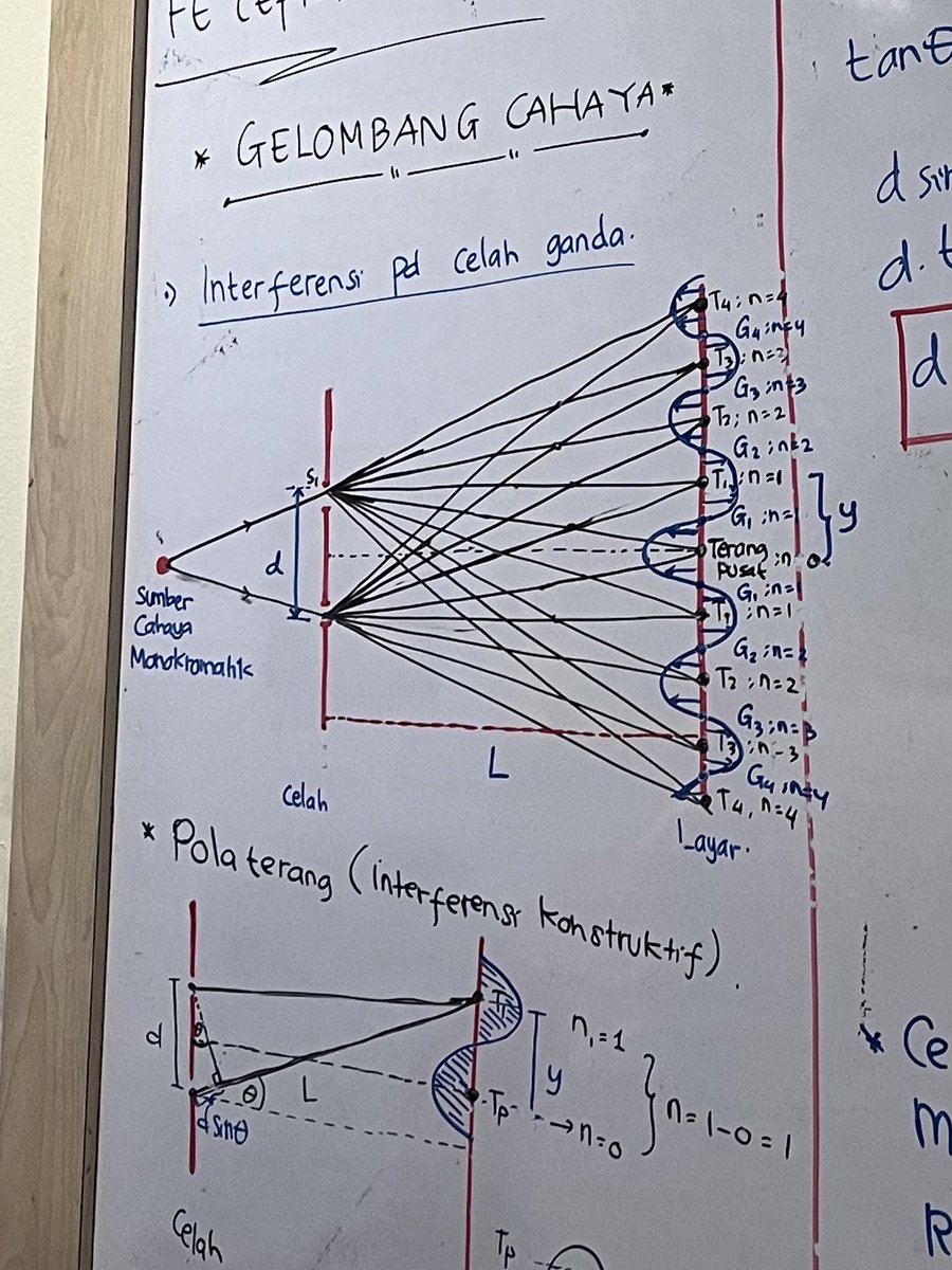 lala²⁷ 🪼 tweet media