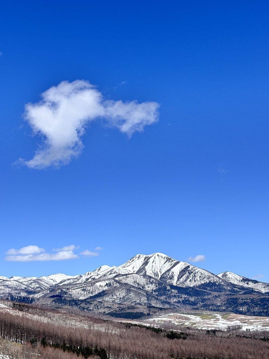 だるま🦭🛋️ tweet media