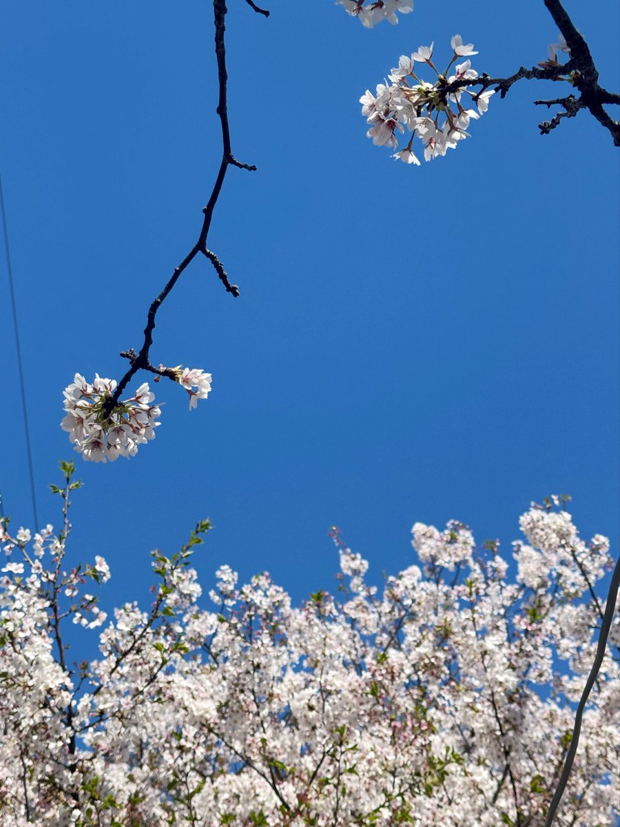 はっぴーかえる🐸 tweet media