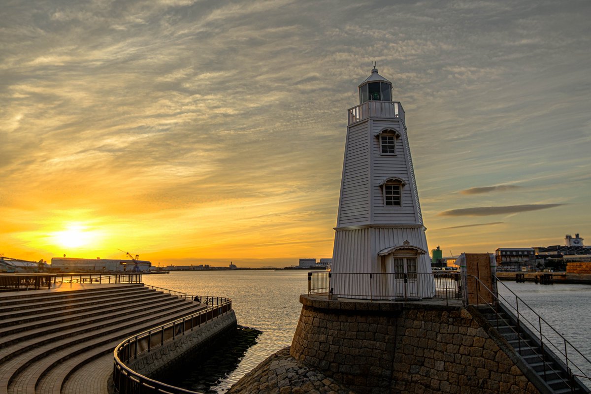 アンモナイト tweet media