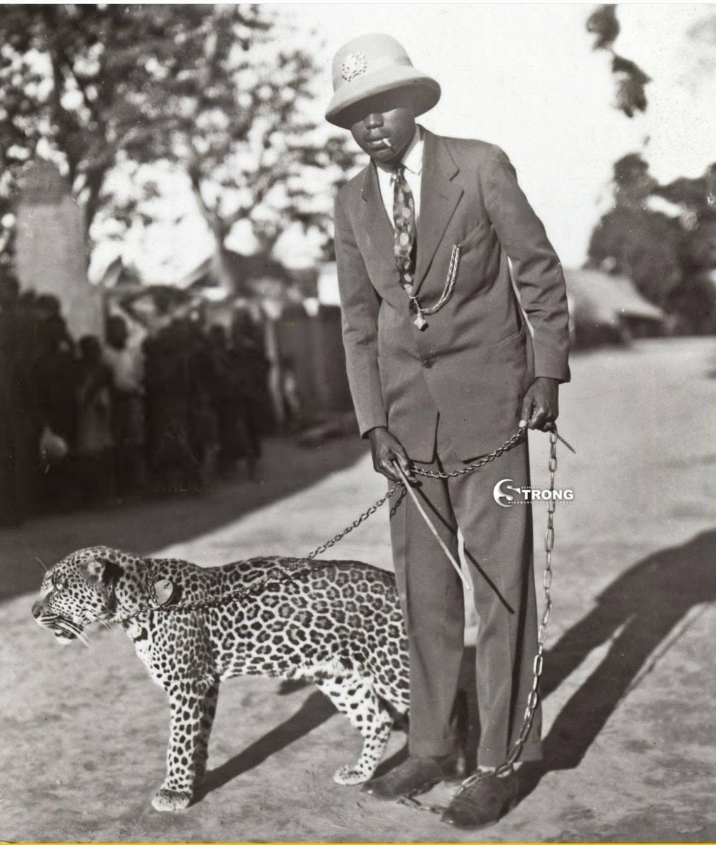 Béatrice Shako (Bs) tweet media