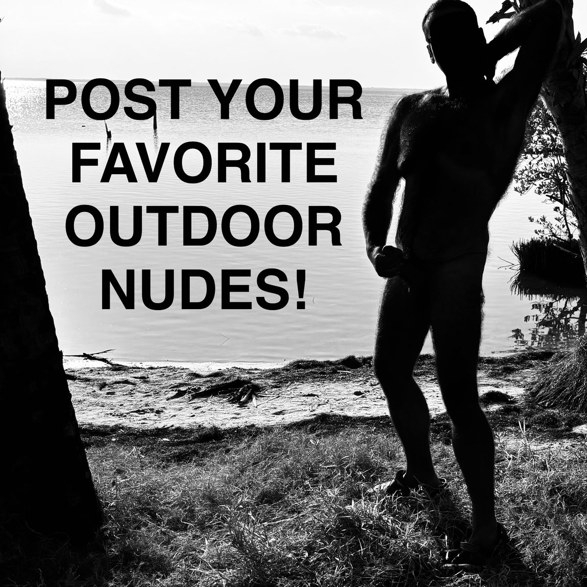 FloridaExhib321 tweet media