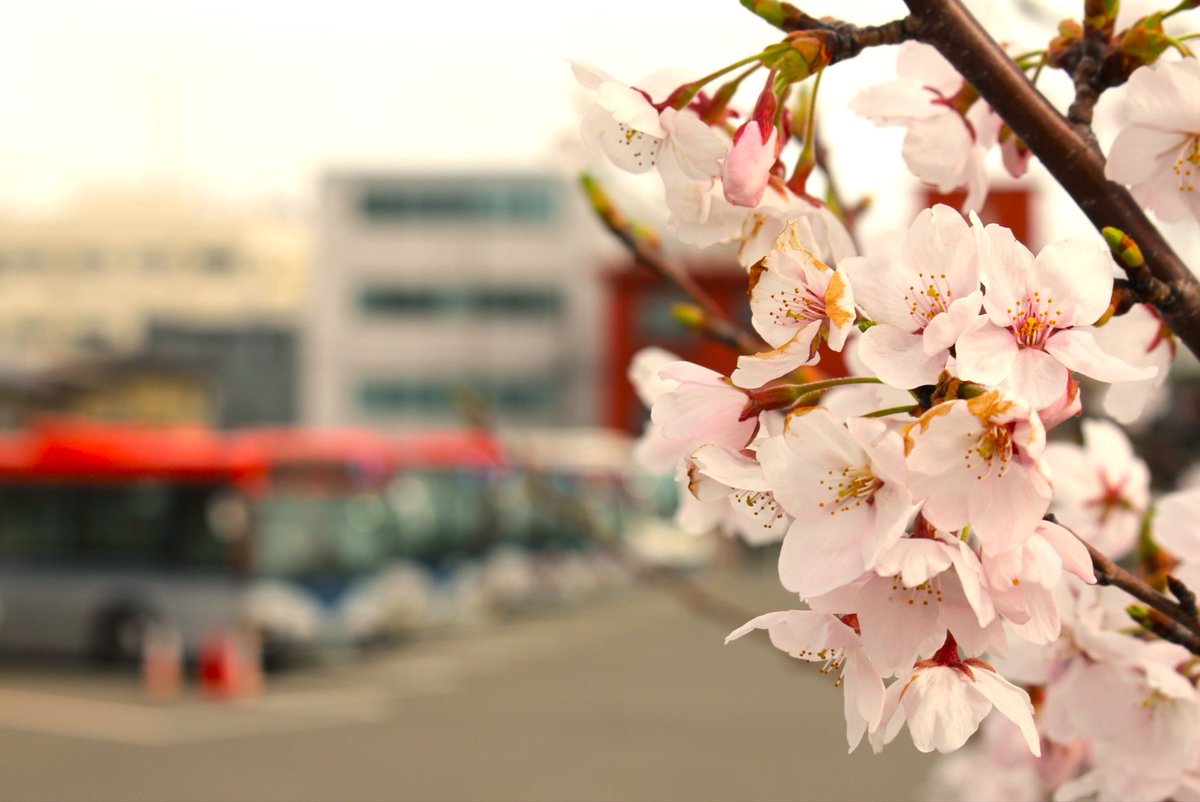 やまびこ tweet media