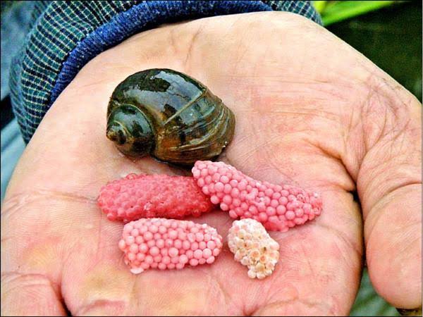 计划生育真是好🌝 tweet media