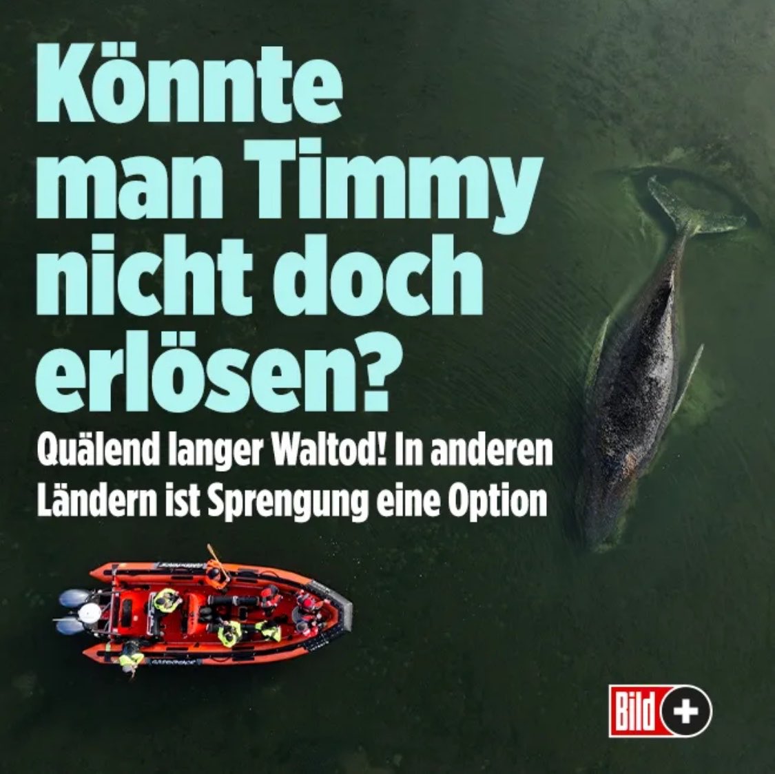 Spreng mich weg
