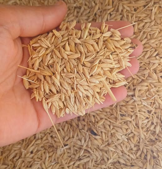 Aserasorat15 tweet media