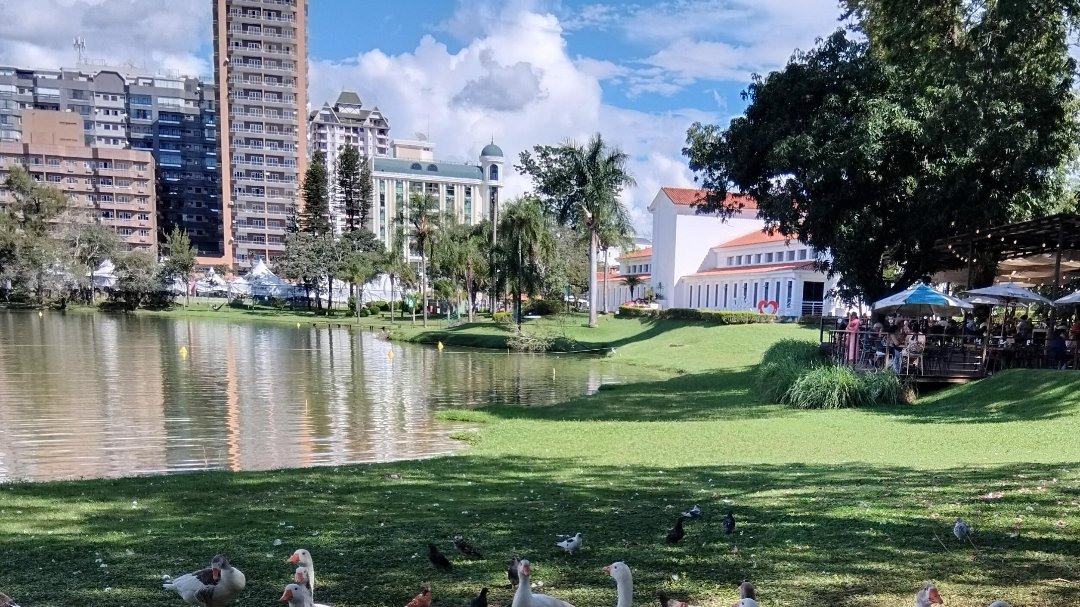 Conservadorismo tweet media