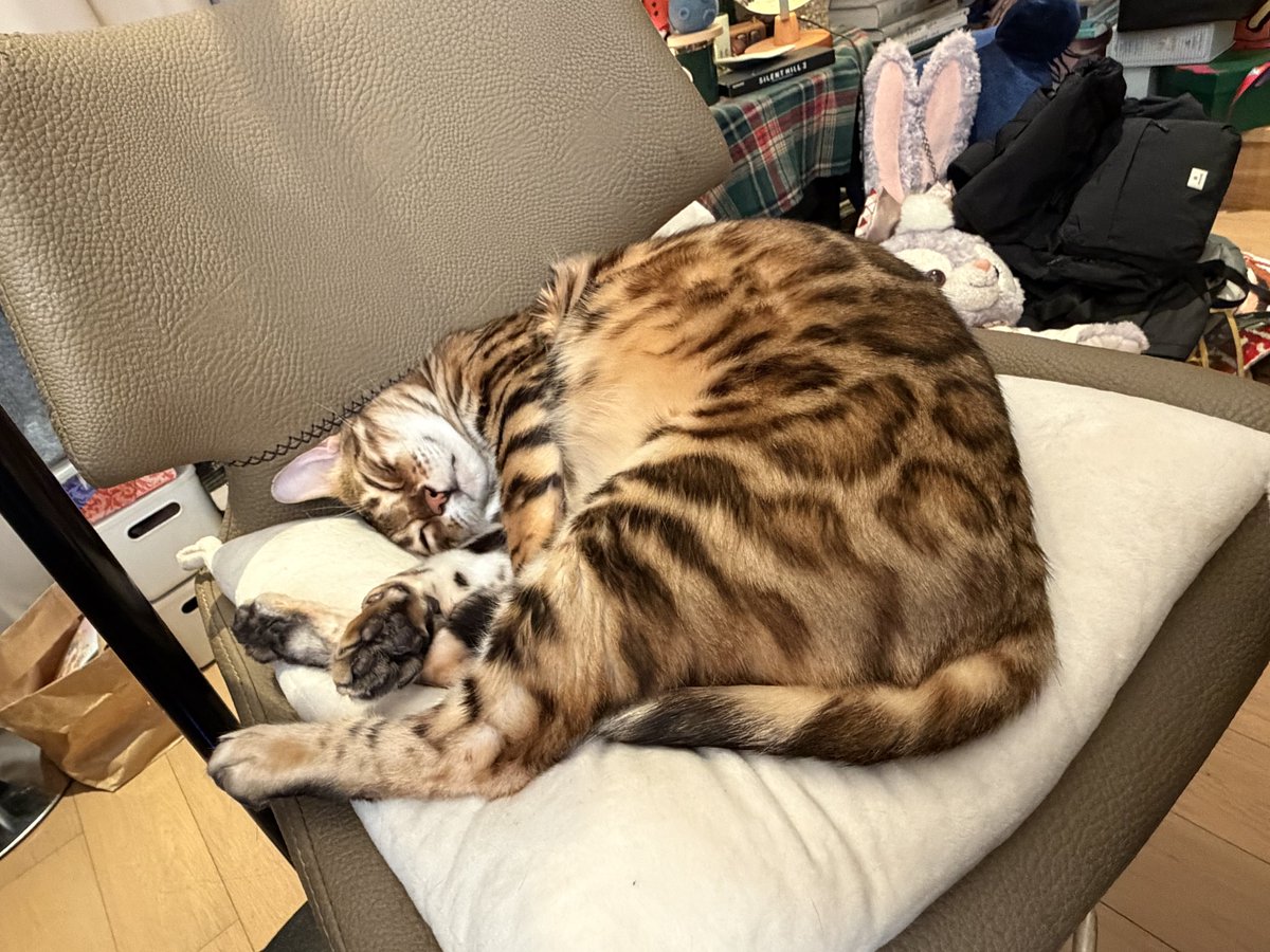 陈一发儿 tweet media