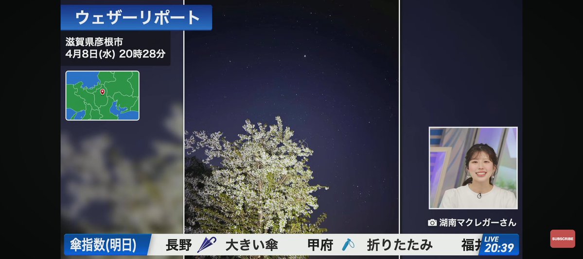 なまこ tweet media