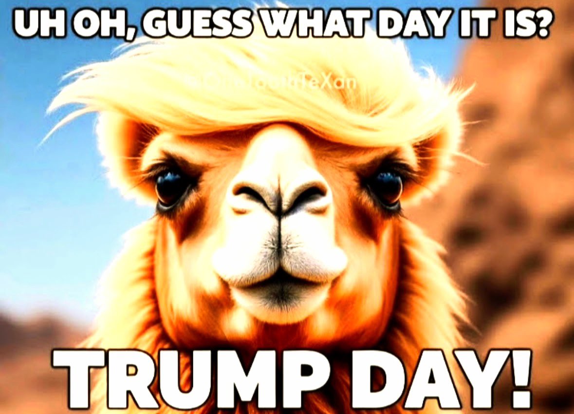 P.Monty🇺🇸🇮🇹 tweet media