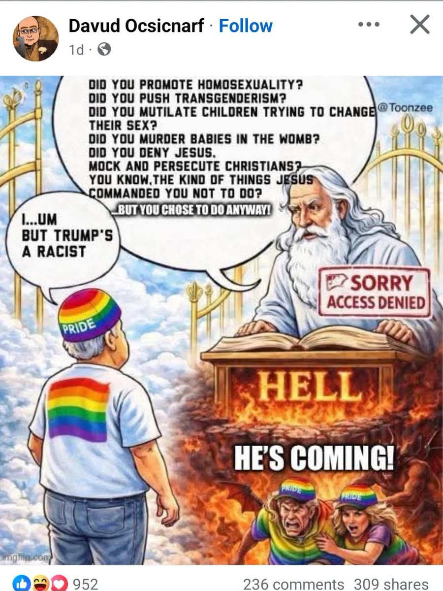 Gay Frog 🏳️‍⚧️ tweet media