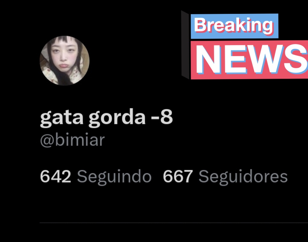 gata gorda -8 tweet media