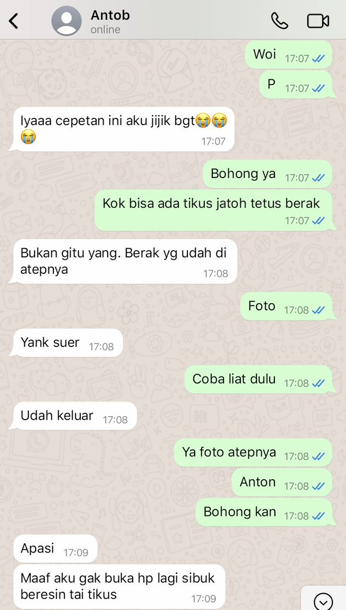 radun yeppi tweet media