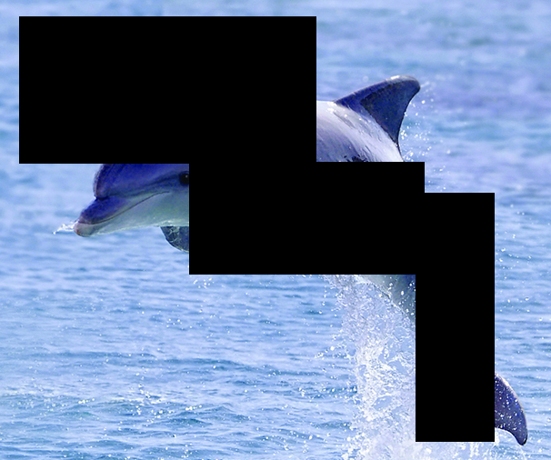 HypeDrop tweet media