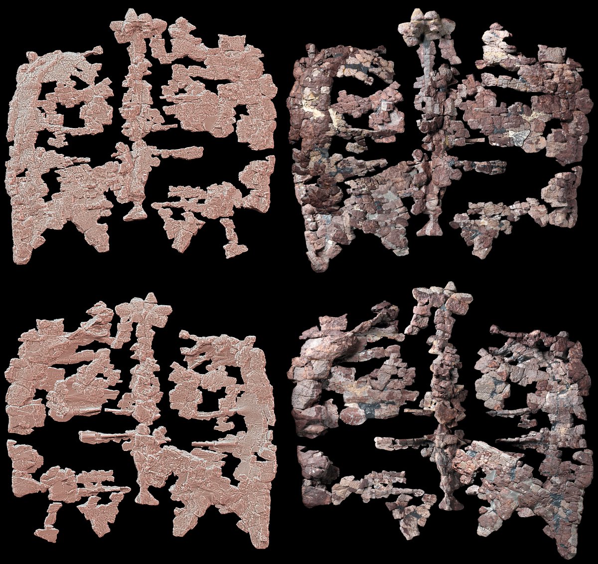 Instytut Paleobiologii PAN tweet media