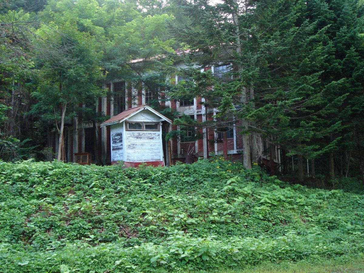 Android au tweet media