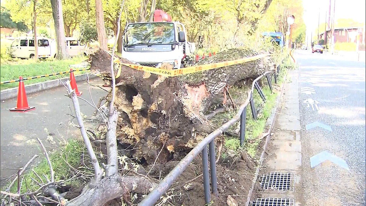 ライブドアニュース tweet media