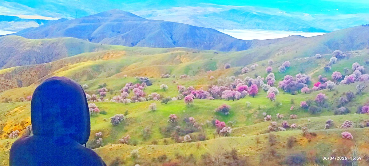 murat onay tweet media