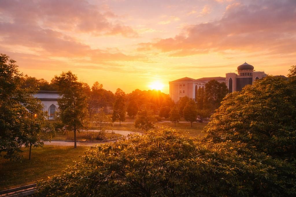 USIM Official tweet media