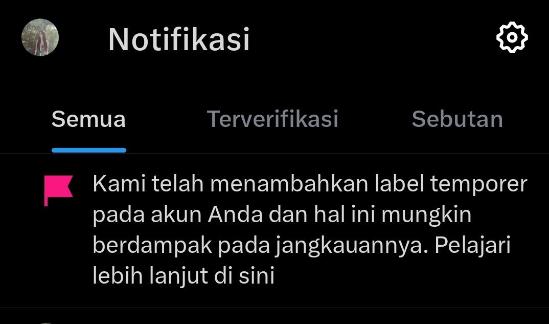 mt after dm. tweet media