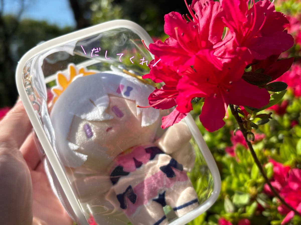 ほんきょー tweet media