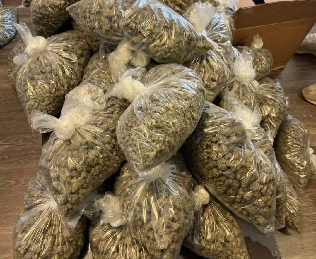 lorddave763's tweet photo. “Don’t sleep on Sugar Land drop! 🔥 Purple Haze &amp; gas heavy in Sugar Land 281/713, Missouri City, Rosenberg ⛽️ Bulk Purple Haze, discreet. DM "GAS TX" now 💨 #TXWeed #SugarLandWeed #HoustonWeed #TexasWeed #PurpleHaze #PurpleHazeTX #TXPlug” https://t.co/c10uuXjxf4