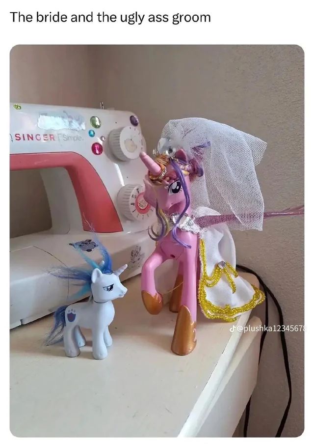 ☀︎ ⋆ 𝅄 linnie ۪ ݁ ˚⟡˖ ࣪ • tweet media