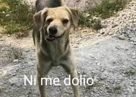 Damian Almaraz tweet media